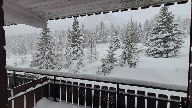 WhatsApp Image 2024-02-27 at 09.00.22